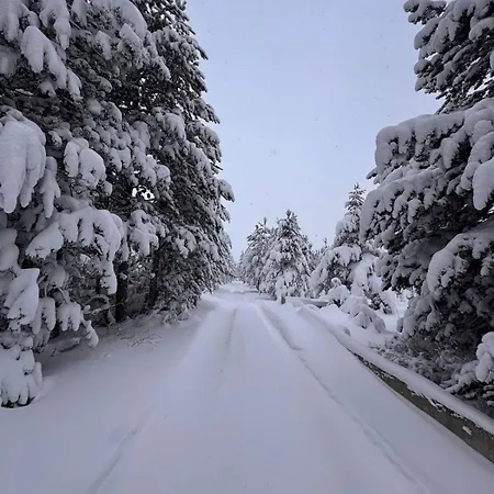 A-snow Nordic Style * Risovac