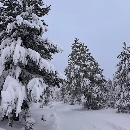 A-snow Nordic Style Domek alpejski *