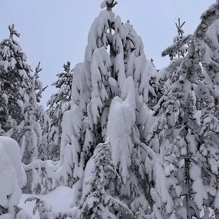 Domek alpejski A-snow Nordic Style *