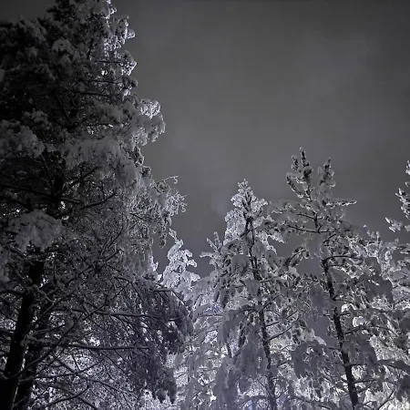 Domek alpejski A-snow Nordic Style Risovac